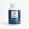 Sea Moss